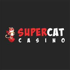 Super cat casino зеркало хризантема кустовая казино фото