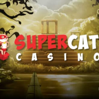 Cyberspins no deposit bonus