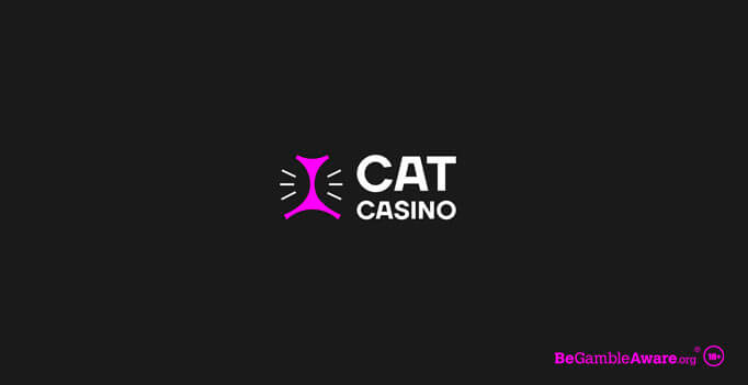 Почему cat casino не работает… Для всех