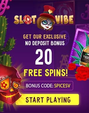 Slotvibe Casino 20 Free Spins No Deposit