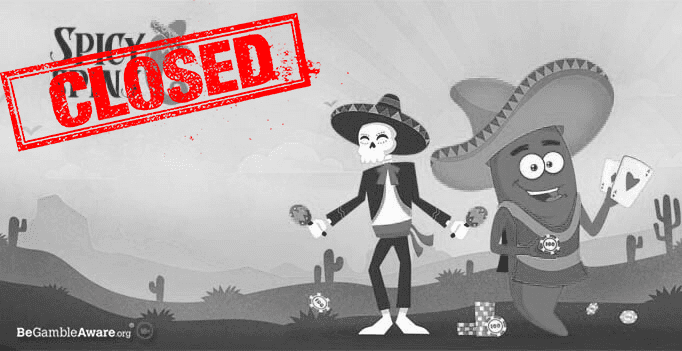 Spicy Spins Casino Logo