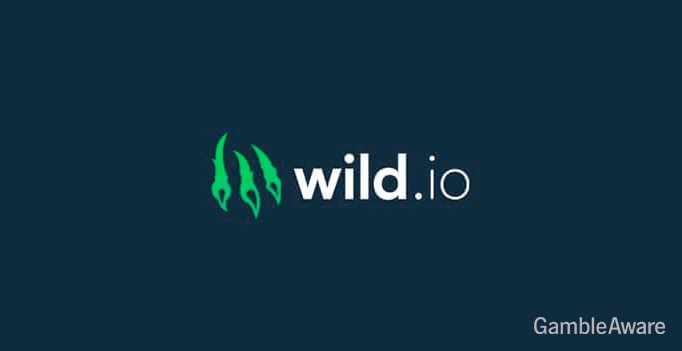 wild.io casino logo
