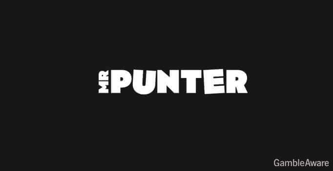 Mr.Punter casino logo