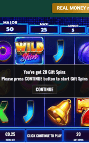 8xwins casino screenshot 3