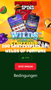 Sombrero Spins Casino Screenshot 1