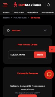 betmaximus casino screenshot 2