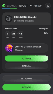 Flagman Casino Screenshot