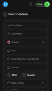 Flagman Casino Screenshot
