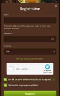 Gonzo Casino Screenshot