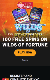 lucky_trunk_casino_screenshot_3 Lucky Trunk Casino: 50 Free Spins No Deposit – Exclusive Bonus