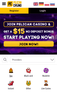 pelican casino sign in screenshot 2