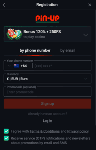 Pin-Up Casino Screenshot 1