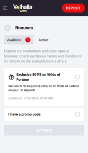 valhallawins casino screen 1
