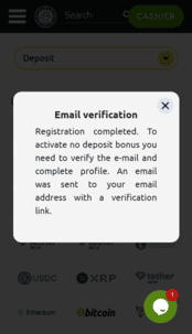 Bonanza Game Casino Screenshot 2