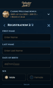 Wonderluck Casino Screenshot 3