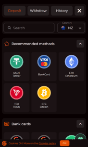 Wageon Casino Screenshot