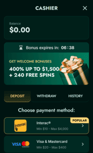 Winlion Casino deposit Screenshot