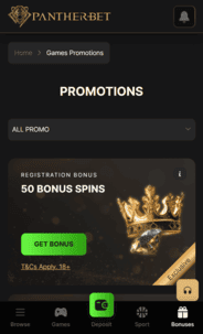 Pantherbet Casino FS Screenshot