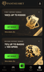 Pantherbet Casino WB Screenshot