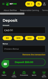 betrise_casino_deposit_screenshot Betrise Casino Deposit Screenshot