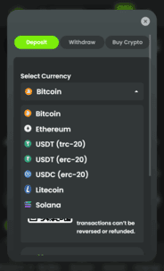 Wilderbet Casino Deposit screenshot