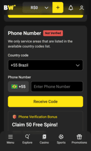 Borawin Casino Verification Screenshot