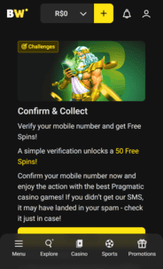 Borawin Casino NDB terms Screenshot