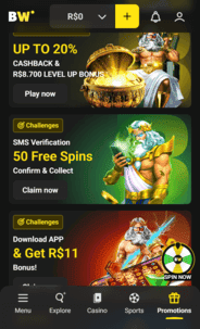 Borawin Casino NDB Screenshot