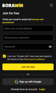 borawin_casino_registration_screenshot Borawin Casino Registration Screenshot
