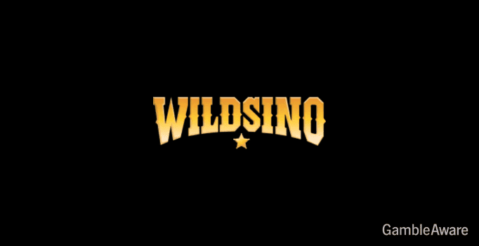 wildsino casino logo