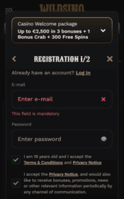 wildsino casino screenshot 1