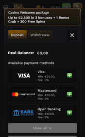 wildsino casino screenshot 2