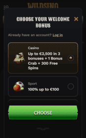 wildsino casino screenshot 3