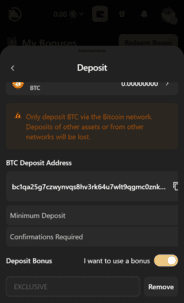 Wolf.io Casino Deposit Screenshot