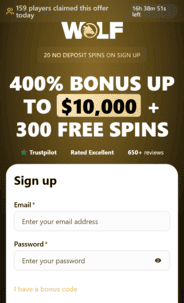 Wolf.io Casino Registration Screenshot