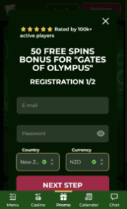 FreakyBillion Casino Reg Screen