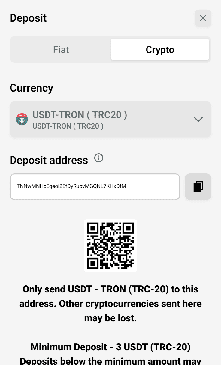 reysur_casino_deposit_screenshot ReySur Casino Deposit Screen