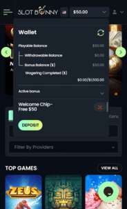 Slot Bunny Casino balance screen