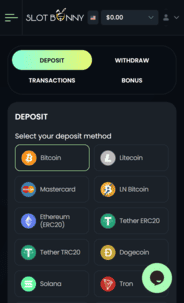 Slot bunny casino dep screen