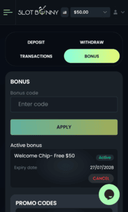 Slot Bunny Casino ndb screen