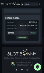 Slot Bunny Casino promo code screen