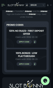 Slot bunny casino wb screen