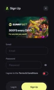 sunnybet casino screenshot 6