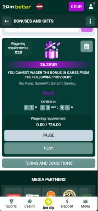 SpinBettor_casino_free_spins_win