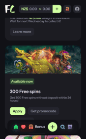 fiji casino screenshot 2