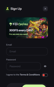 fiji casino screenshot 4