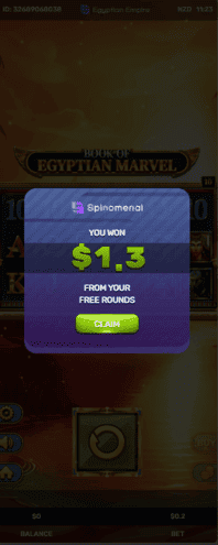 fs-casino-winnings