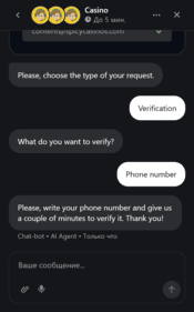 hadesbet_casino_verification_screen HadesBet Casino Verification Screen