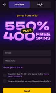 iWild Casino reg screen