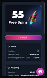 MagicianBet Casino NDB Terms Screen